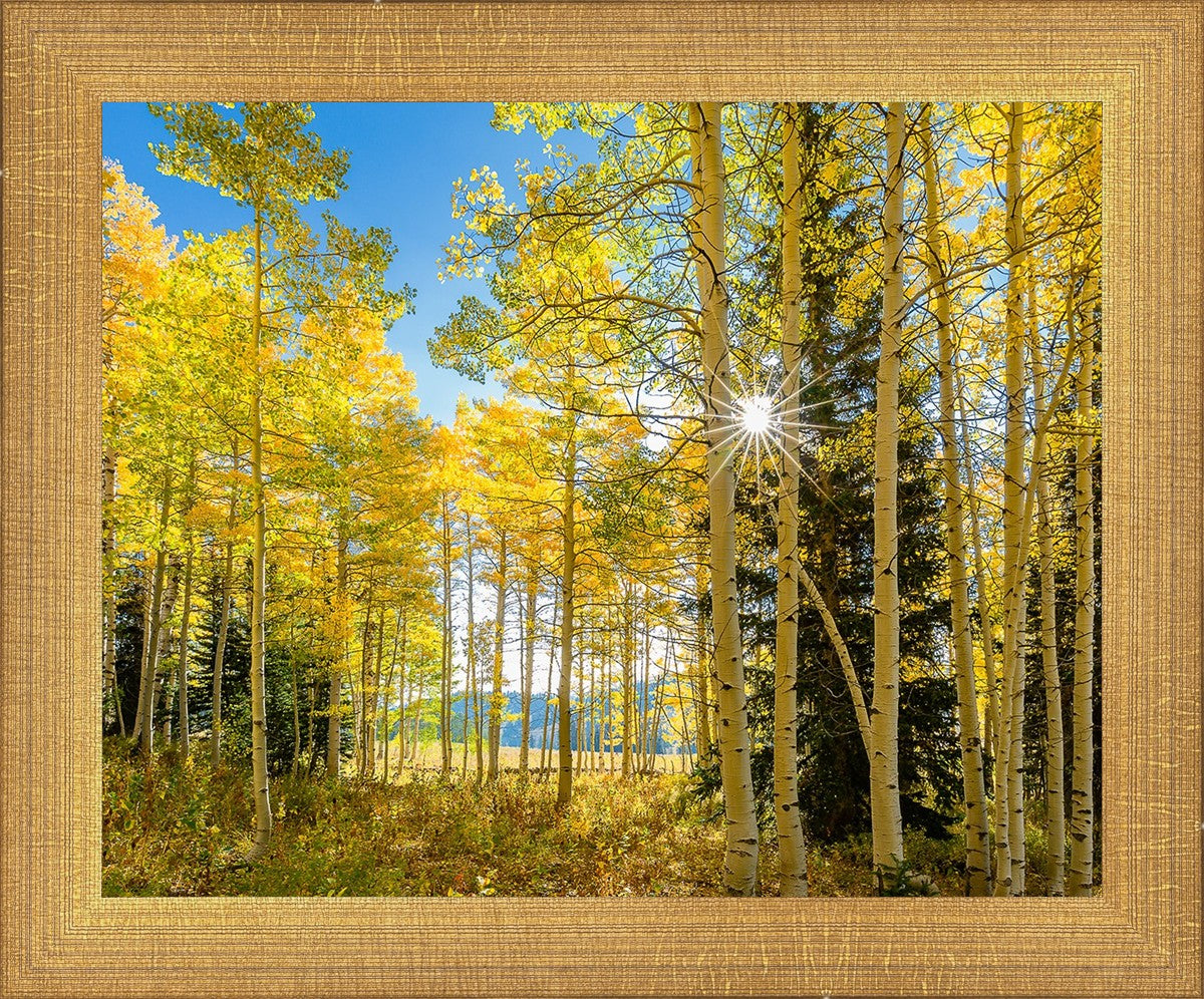 Autumn in the Rocky Mountains, Wasatch National Forest, Utah