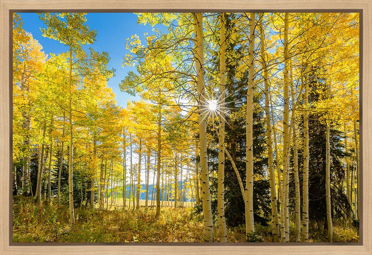 Autumn in the Rocky Mountains, Wasatch National Forest, Utah