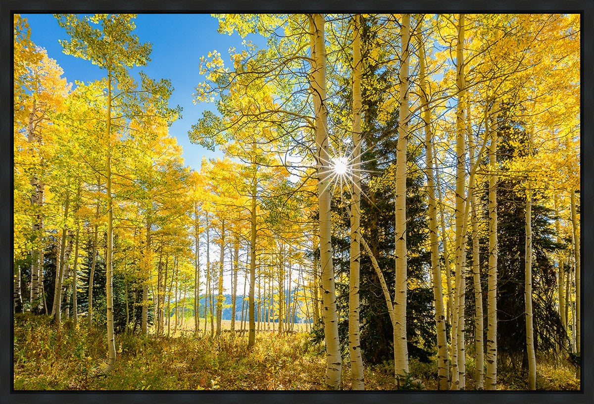 Autumn in the Rocky Mountains, Wasatch National Forest, Utah