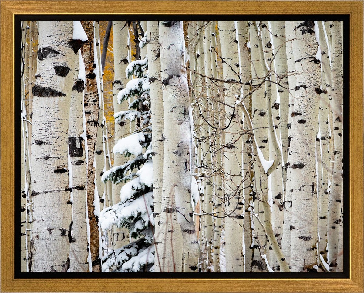 Christmas Around the Corner, Guardsman Pass, Park City, Utah