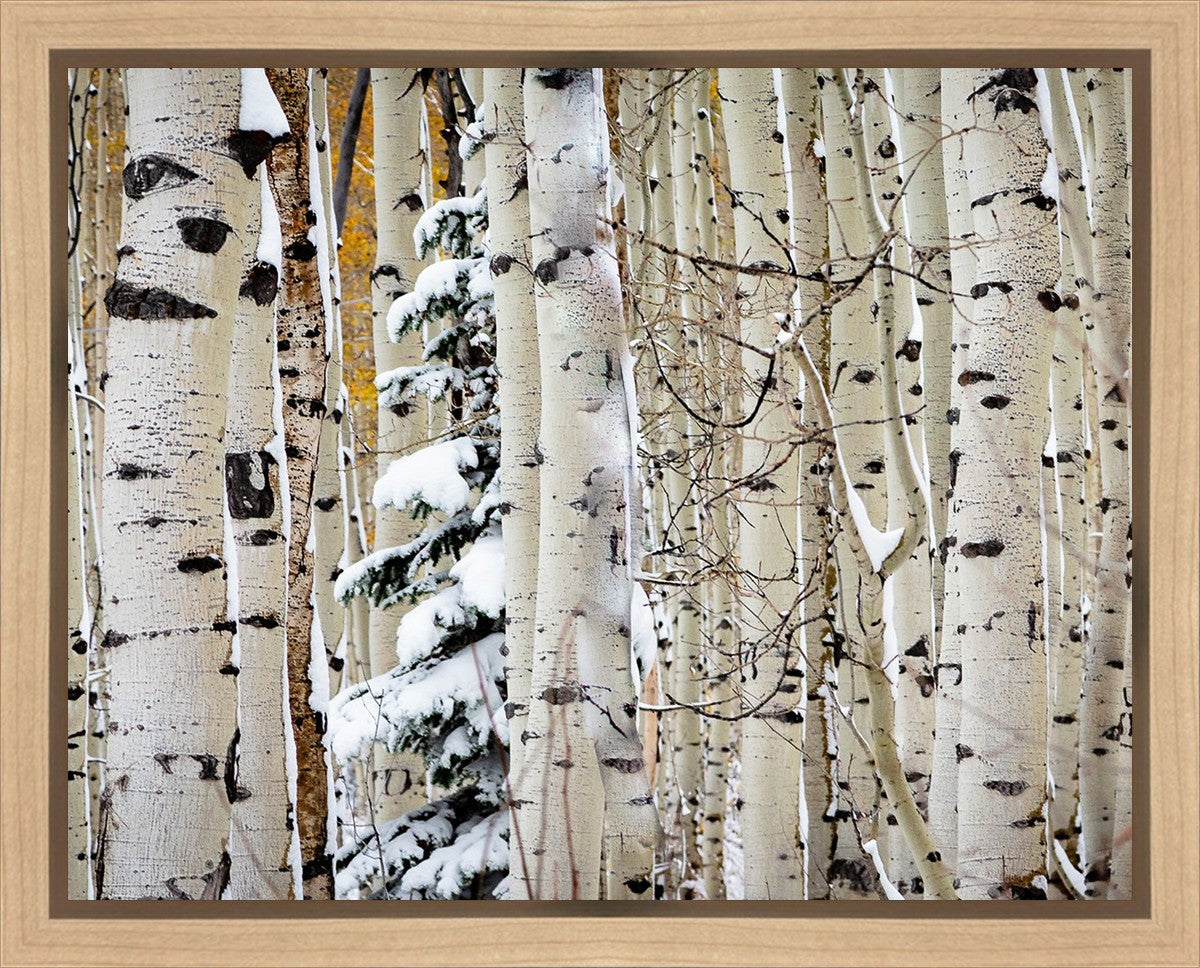 Christmas Around the Corner, Guardsman Pass, Park City, Utah