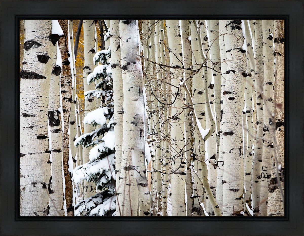 Christmas Around the Corner, Guardsman Pass, Park City, Utah