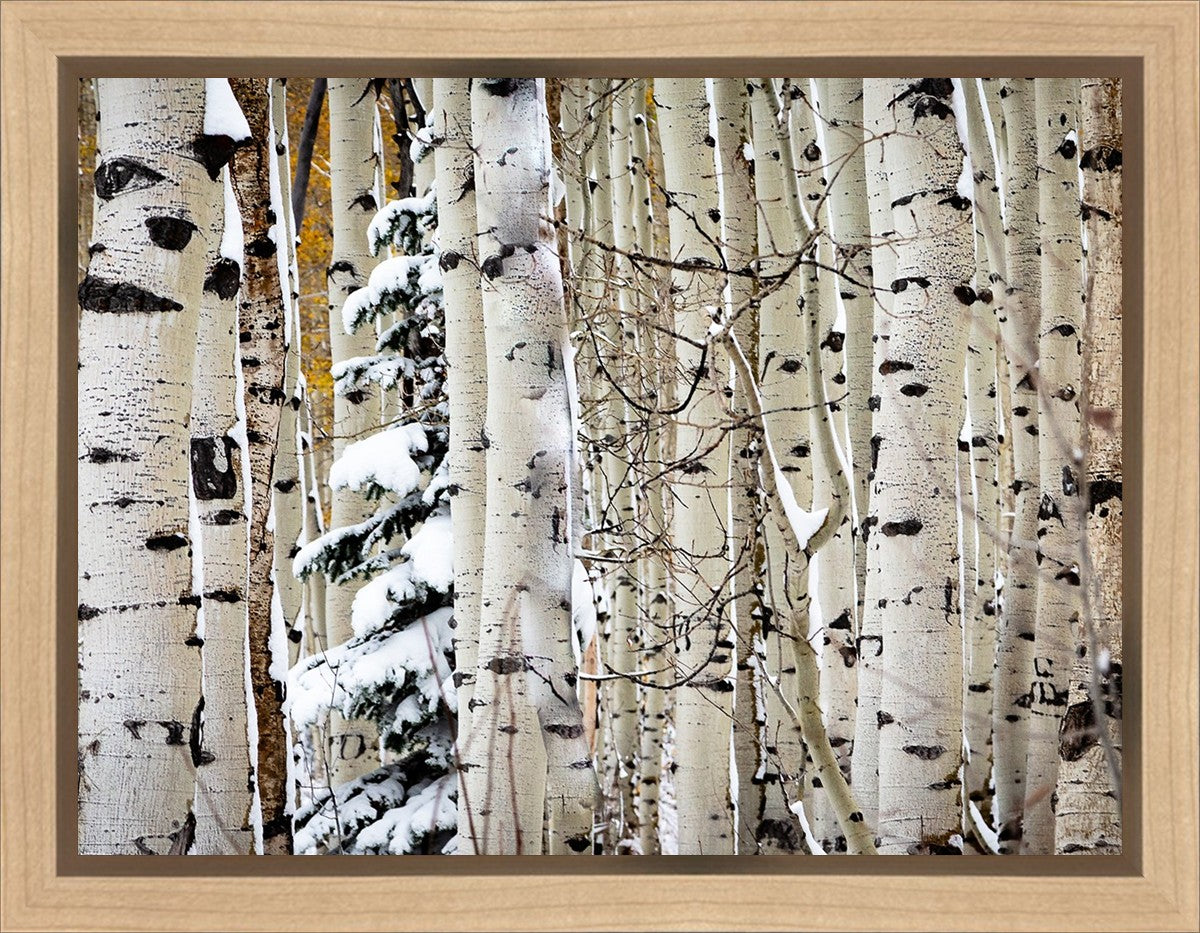 Christmas Around the Corner, Guardsman Pass, Park City, Utah