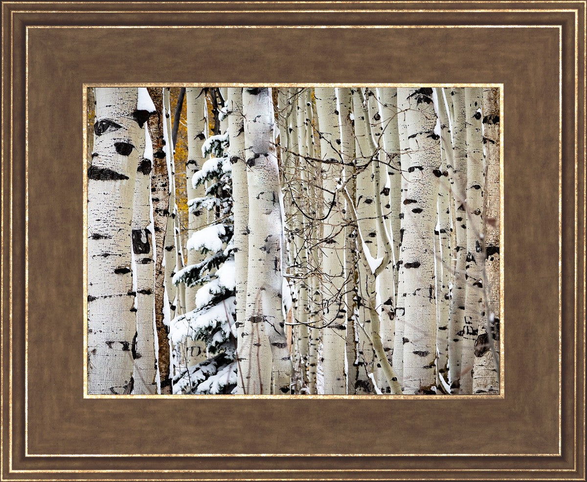 Christmas Around the Corner, Guardsman Pass, Park City, Utah