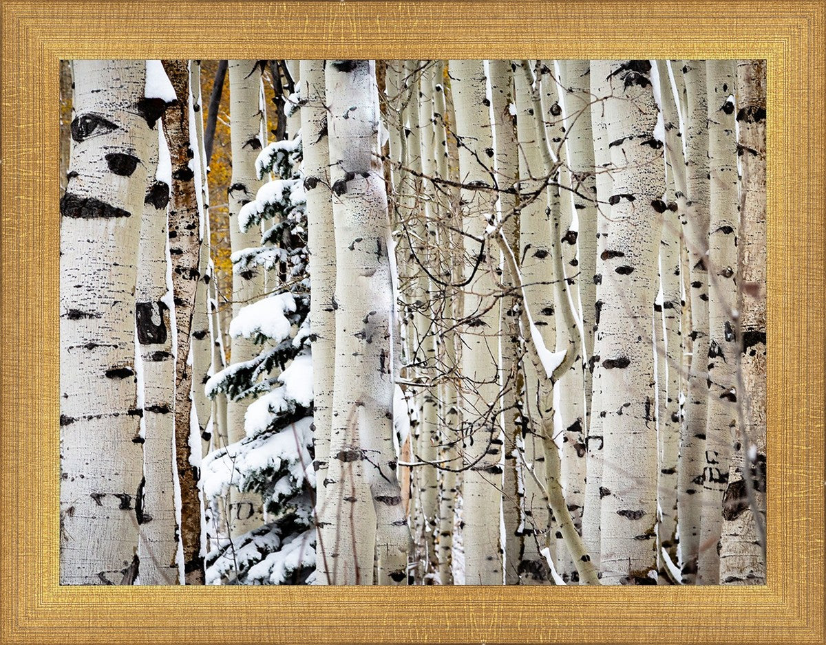 Christmas Around the Corner, Guardsman Pass, Park City, Utah