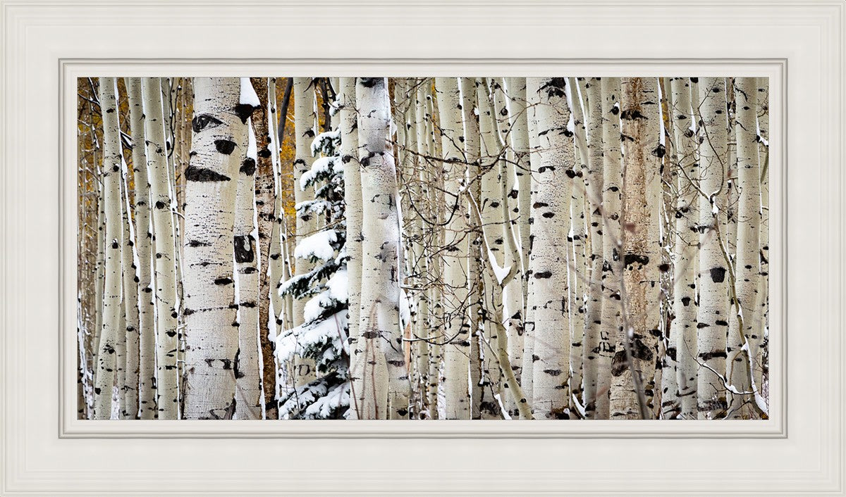 Christmas Around the Corner, Guardsman Pass, Park City, Utah