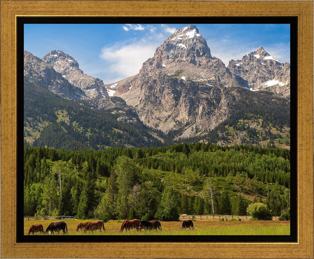 Panorama of Grand Teton Mountain Range, Wyoming
