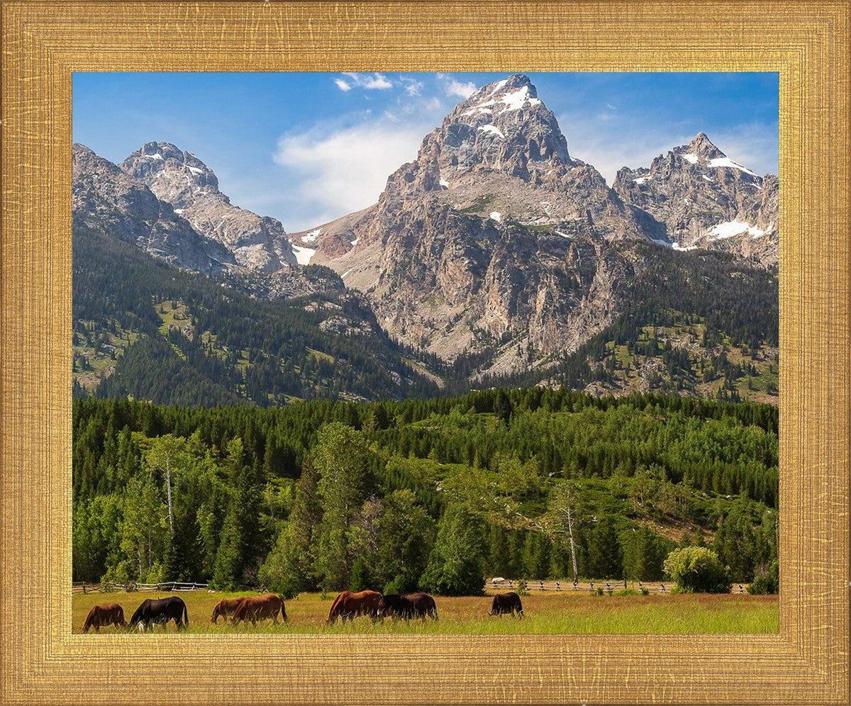 Panorama of Grand Teton Mountain Range, Wyoming