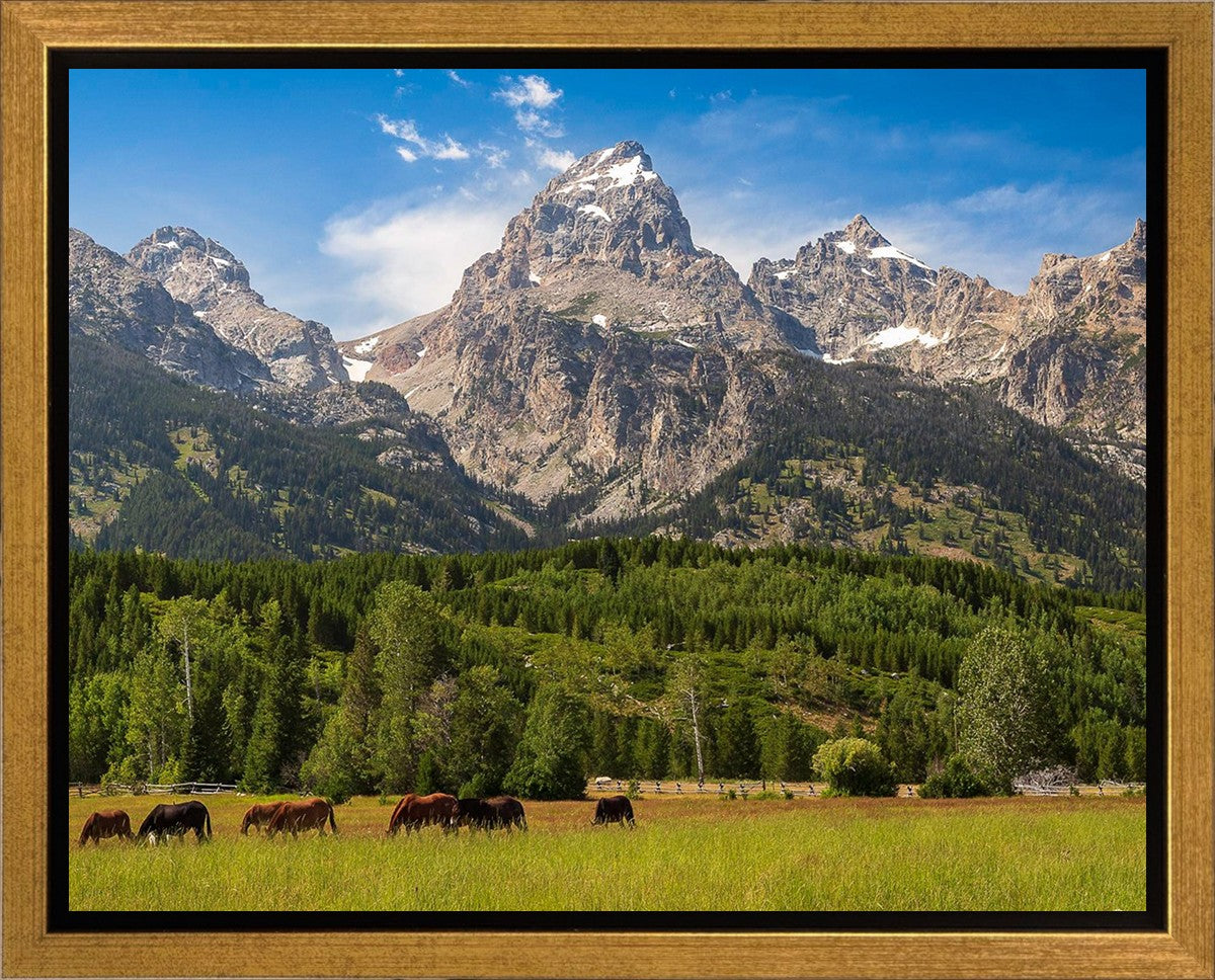 Panorama of Grand Teton Mountain Range, Wyoming