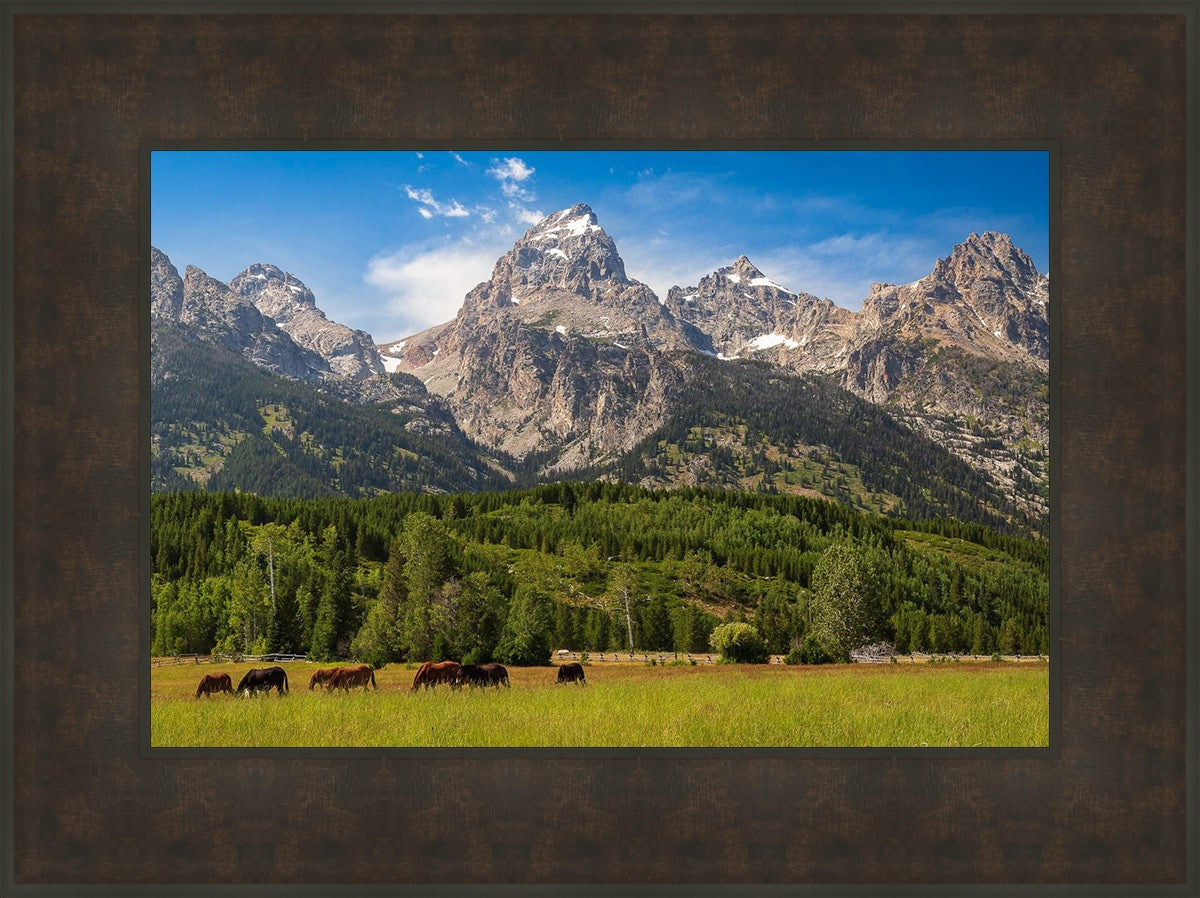 Panorama of Grand Teton Mountain Range, Wyoming