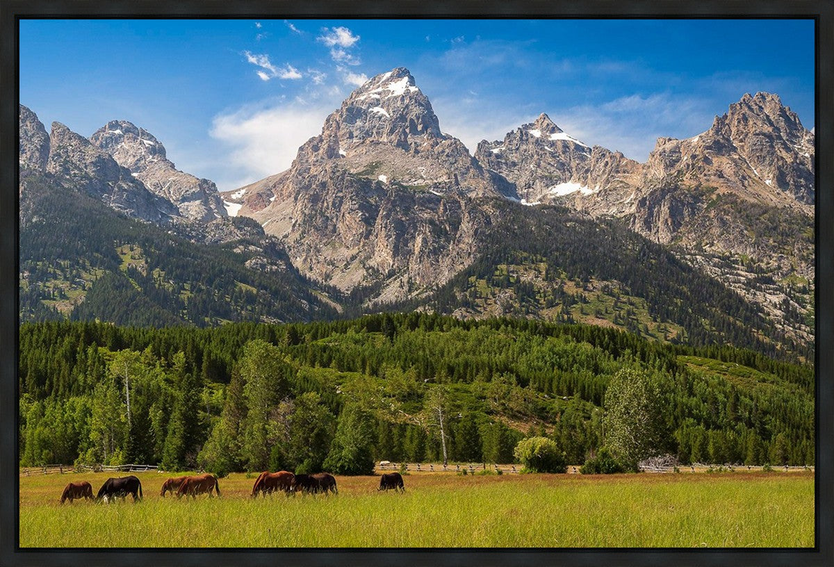 Panorama of Grand Teton Mountain Range, Wyoming