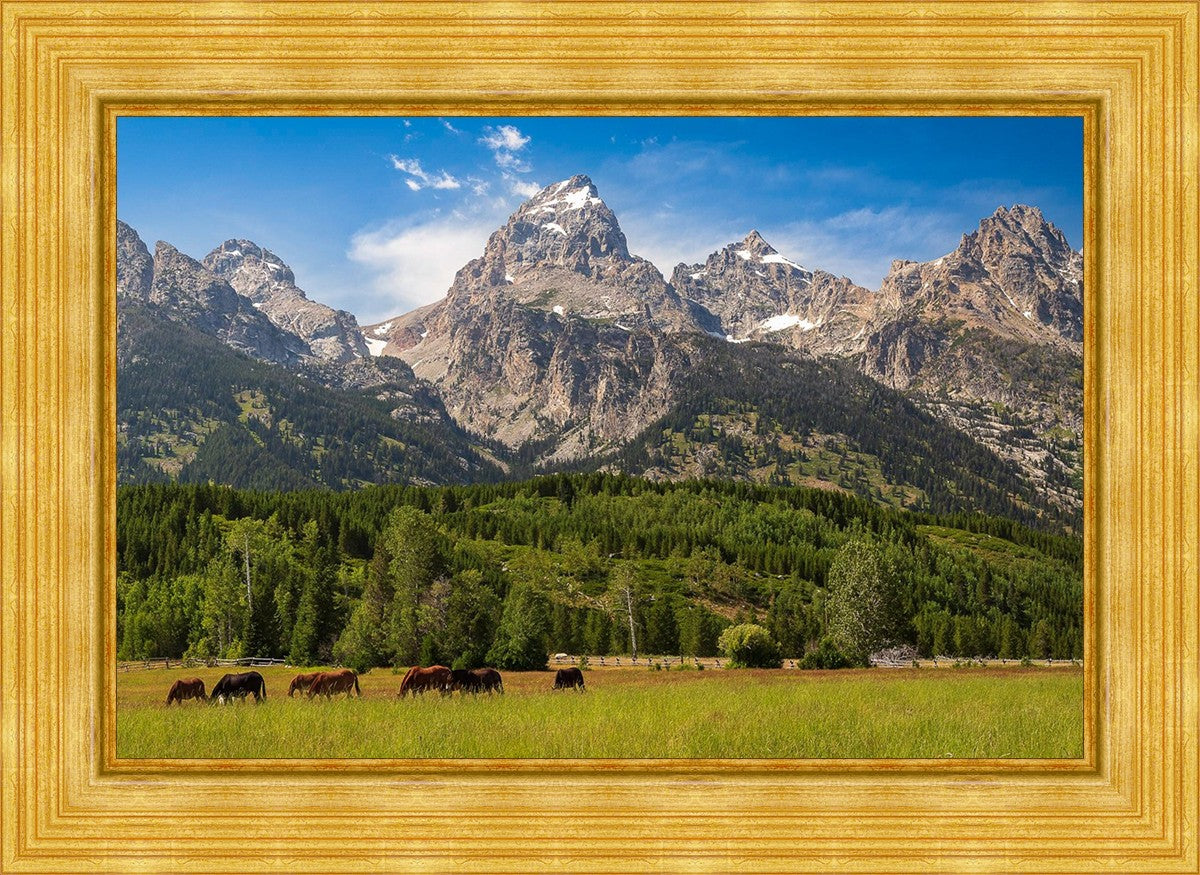 Panorama of Grand Teton Mountain Range, Wyoming