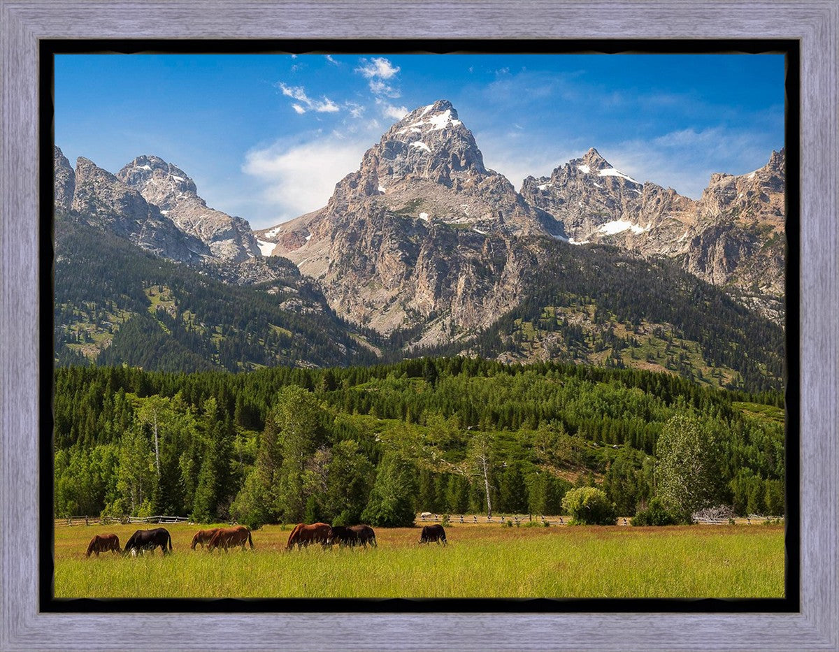 Panorama of Grand Teton Mountain Range, Wyoming