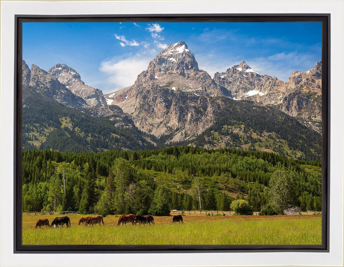 Panorama of Grand Teton Mountain Range, Wyoming