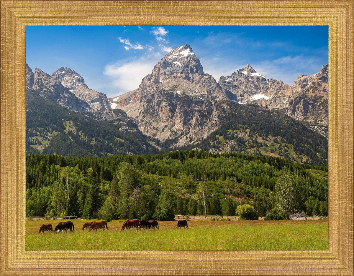 Panorama of Grand Teton Mountain Range, Wyoming