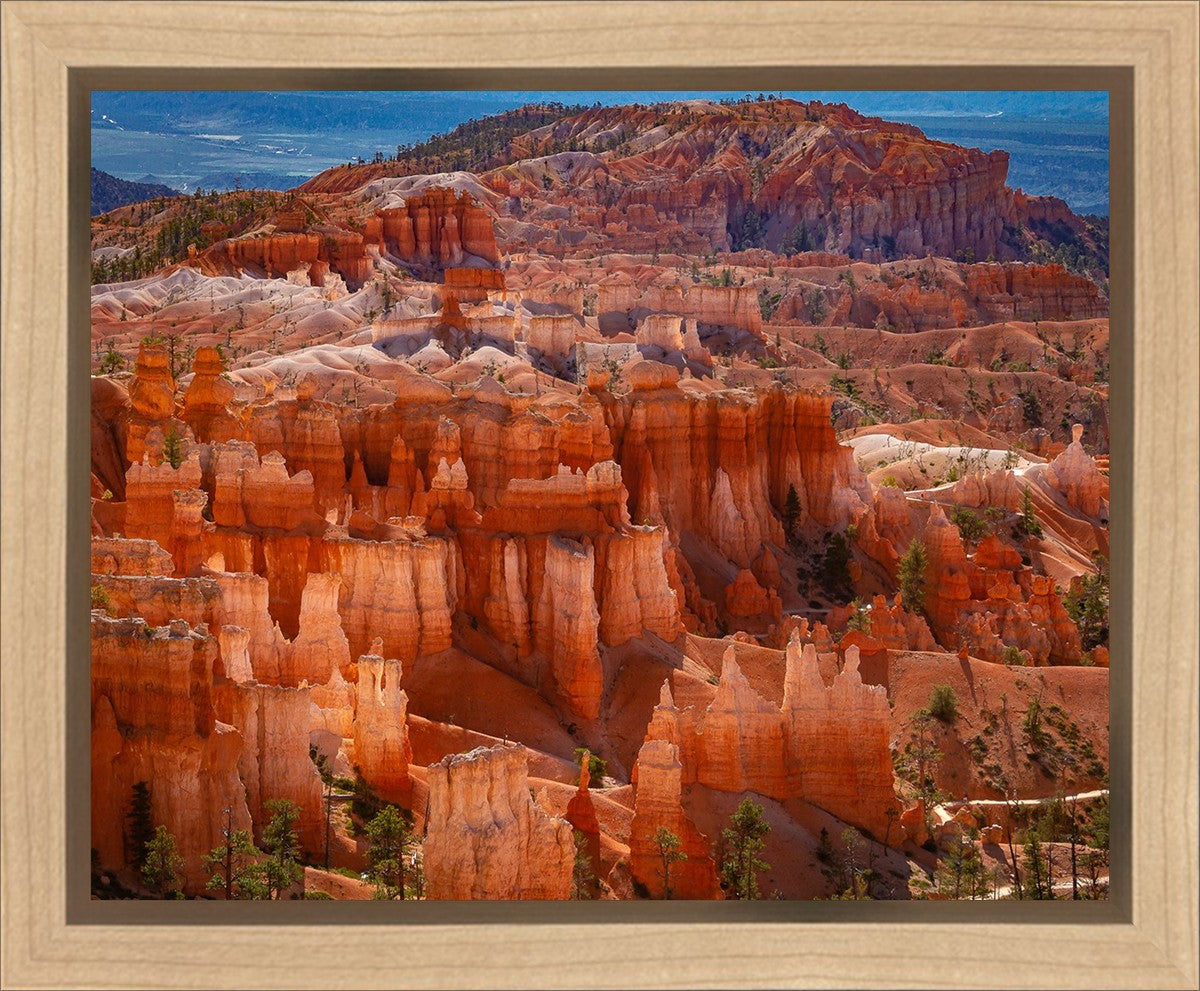 The Hoodoos of Bryce Canyon National Park, Utah