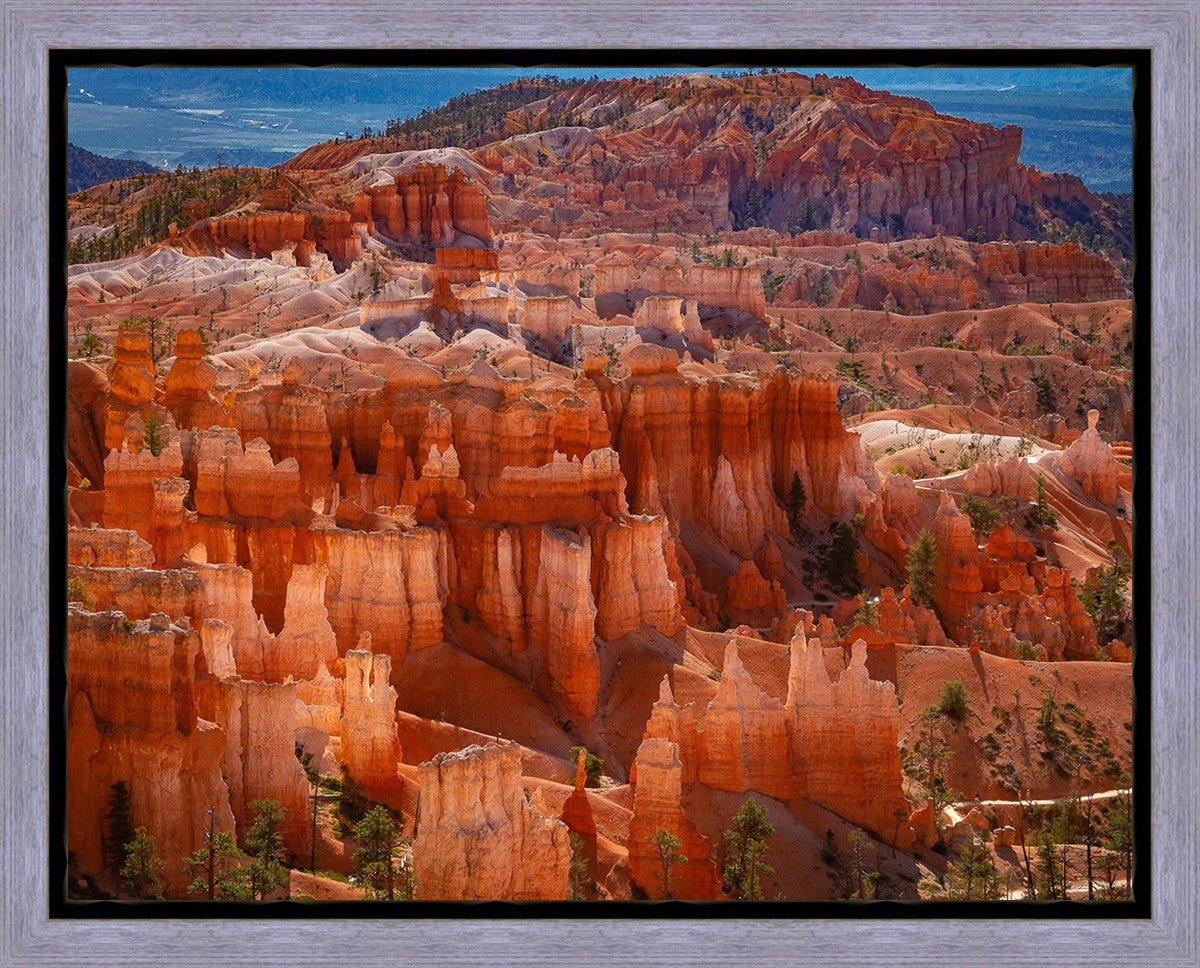 The Hoodoos of Bryce Canyon National Park, Utah