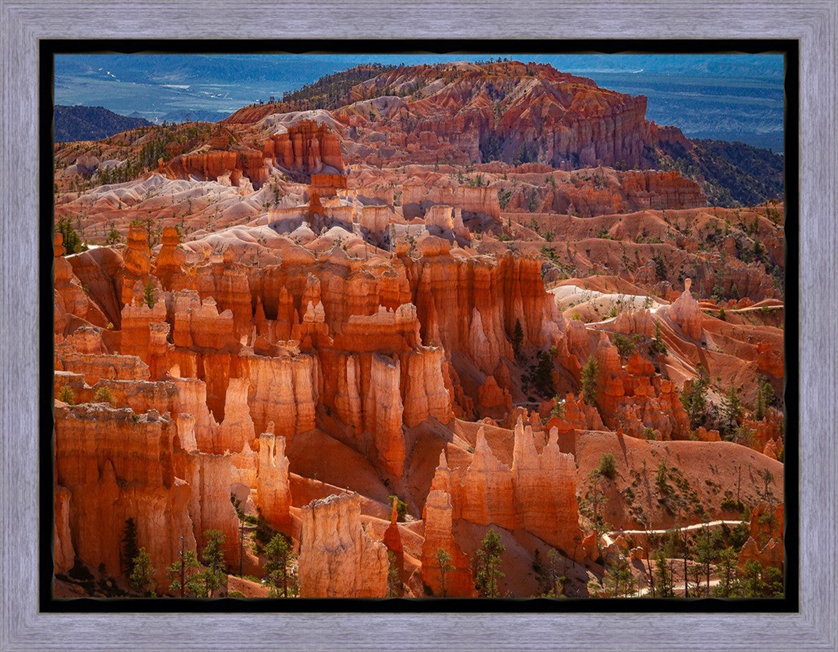 The Hoodoos of Bryce Canyon National Park, Utah