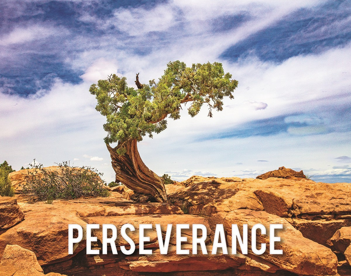 Perseverance Motivisional Poster
