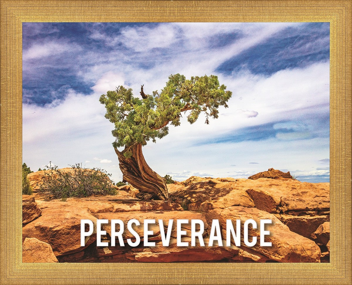 Perseverance Motivisional Poster