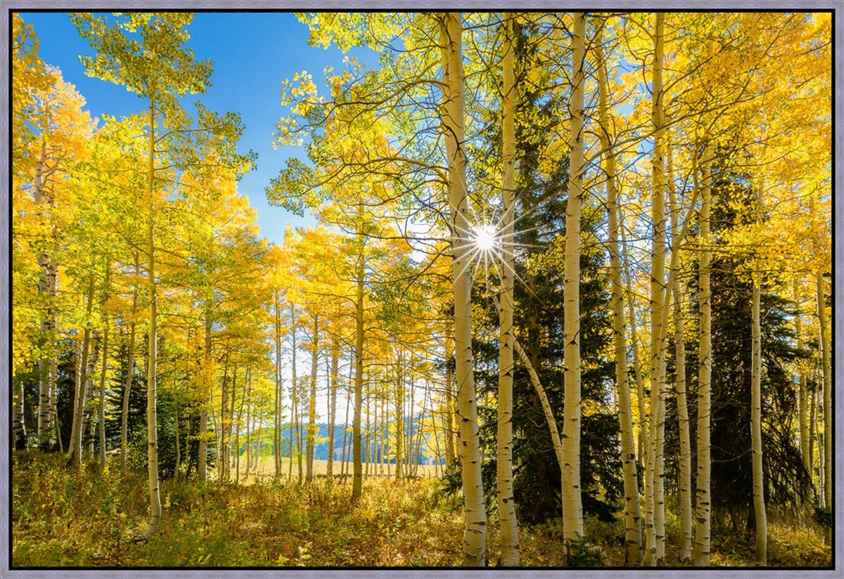 Autumn in the Rocky Mountains, Wasatch National Forest, Utah
