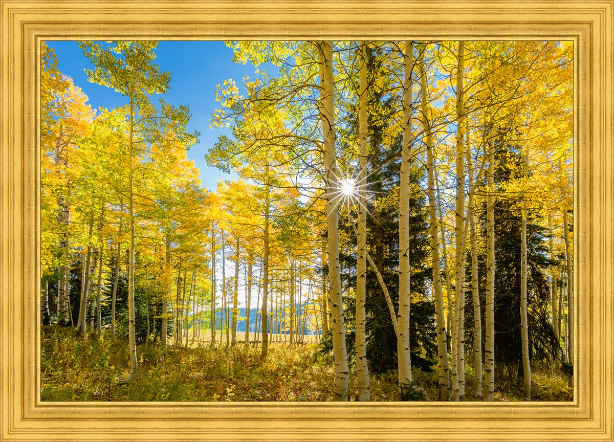 Autumn in the Rocky Mountains, Wasatch National Forest, Utah