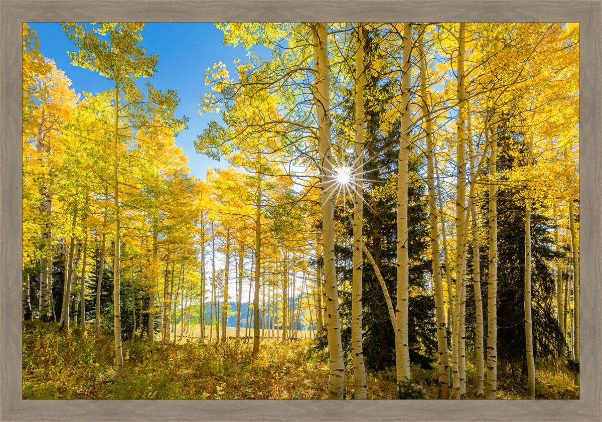 Autumn in the Rocky Mountains, Wasatch National Forest, Utah