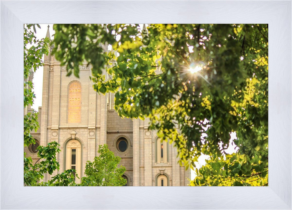 Salt Lake Brilliant Light