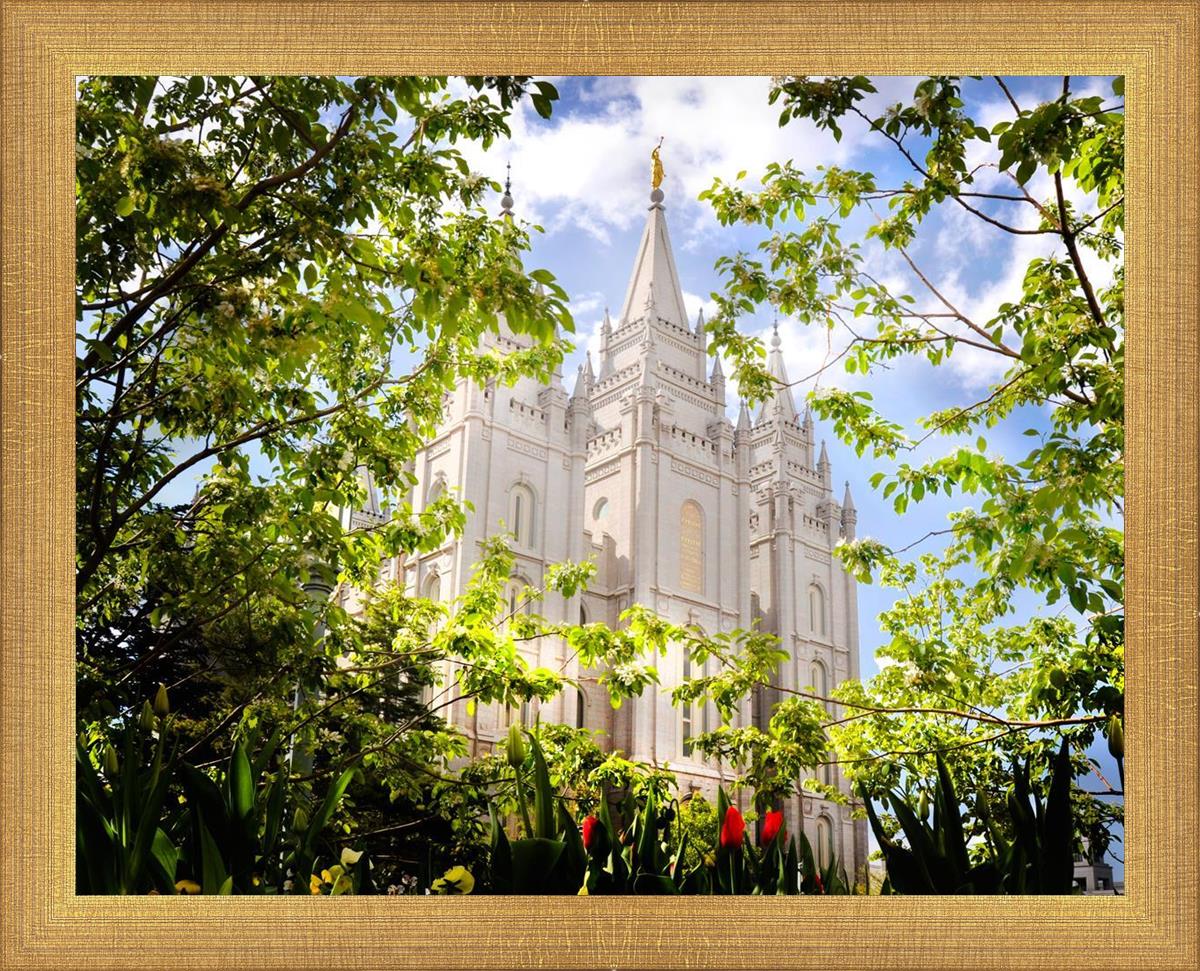 Salt Lake Glimpse of Eternity