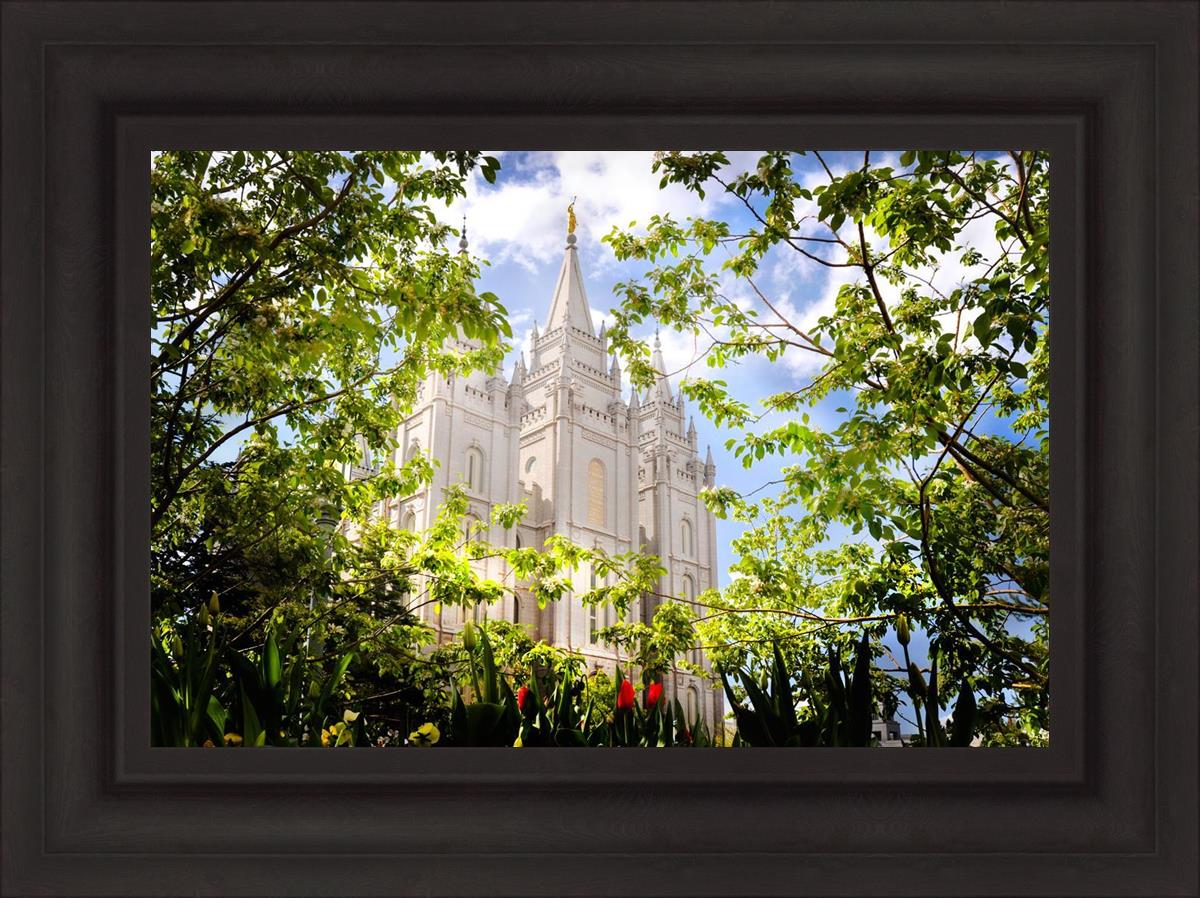 Salt Lake Glimpse of Eternity
