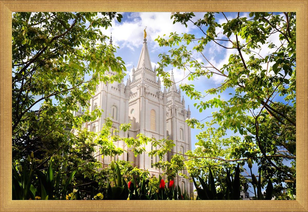 Salt Lake Glimpse of Eternity