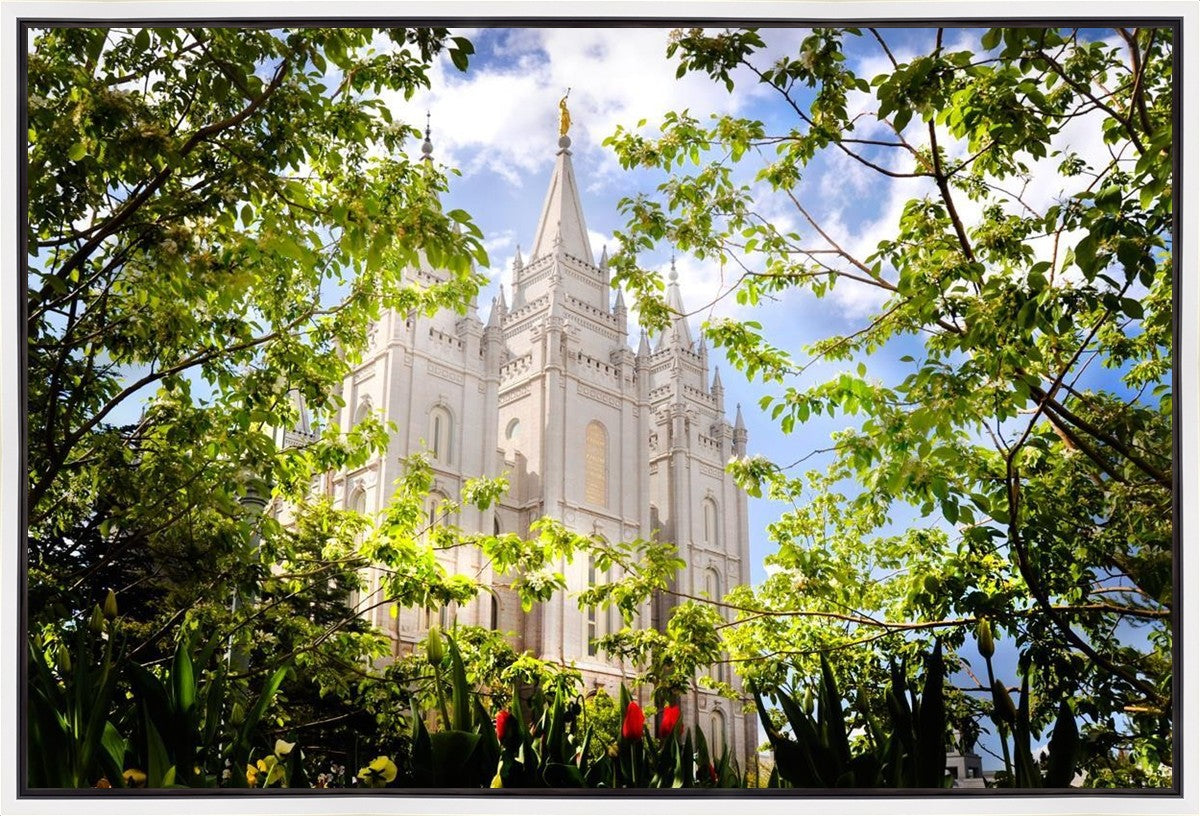 Salt Lake Glimpse of Eternity Gallery Wrap