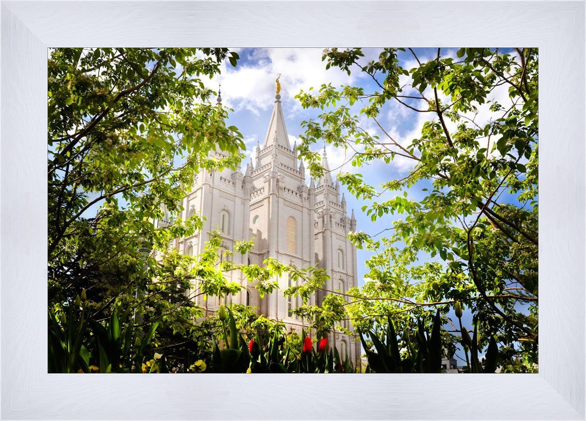 Salt Lake Glimpse of Eternity