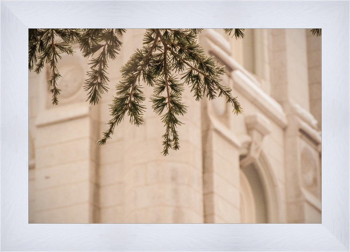 Salt Lake City Temple Even The Smallest Details