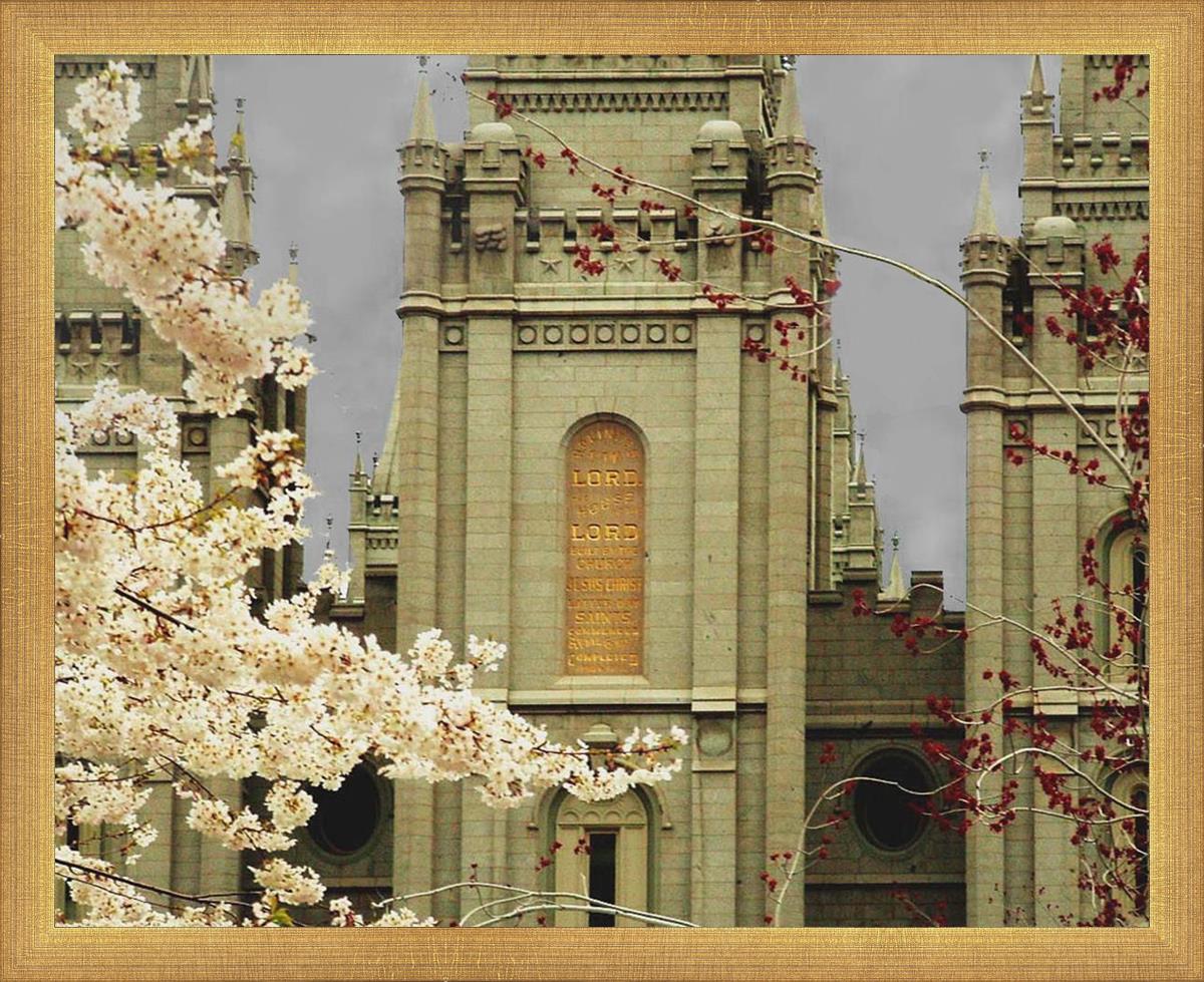 Salt Lake City Temple The Promise