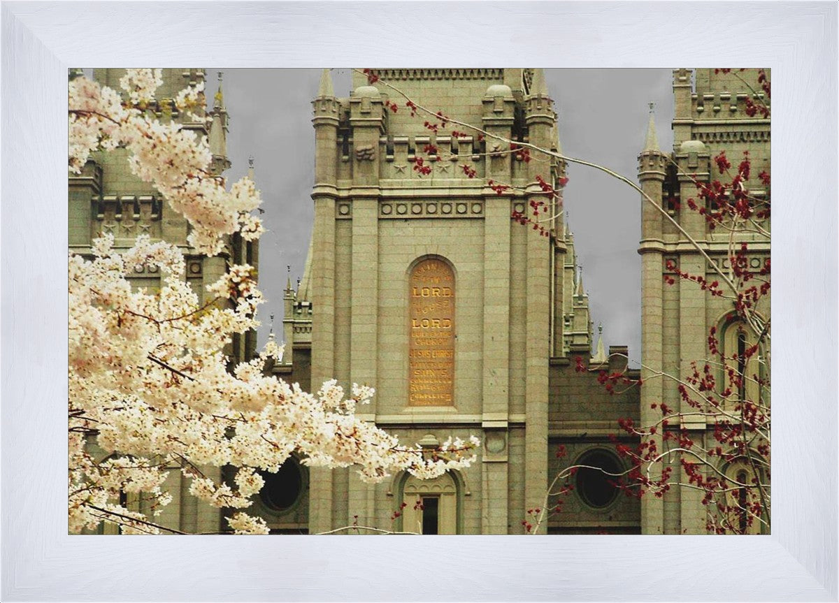 Salt Lake City Temple The Promise