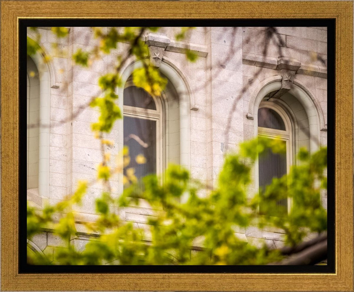 Salt Lake City Temple Windows Of Eternity Gallery Wrap