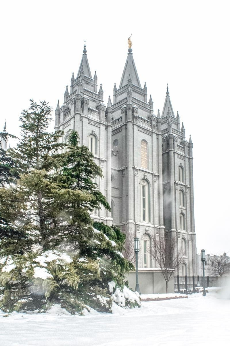 Salt Lake City Temple Evergreen Christmas Gallery Wrap