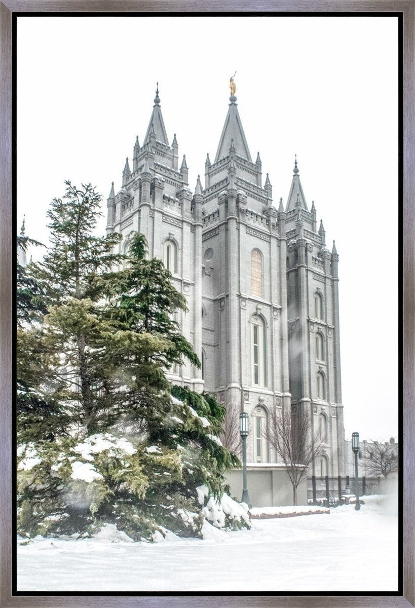 Salt Lake City Temple Evergreen Christmas Gallery Wrap