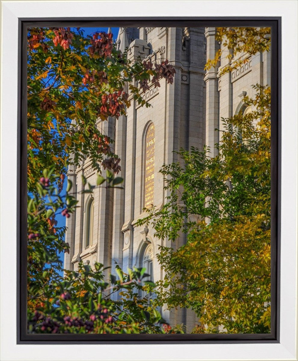 Salt Lake City Temple His Declaration Gallery Wrap