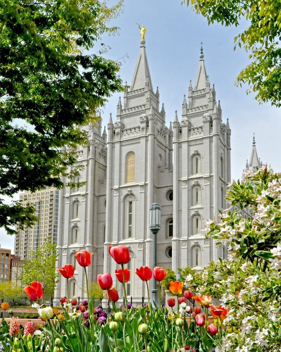 Salt Lake City Temple June - God Is the Gardner Gallery Wrap