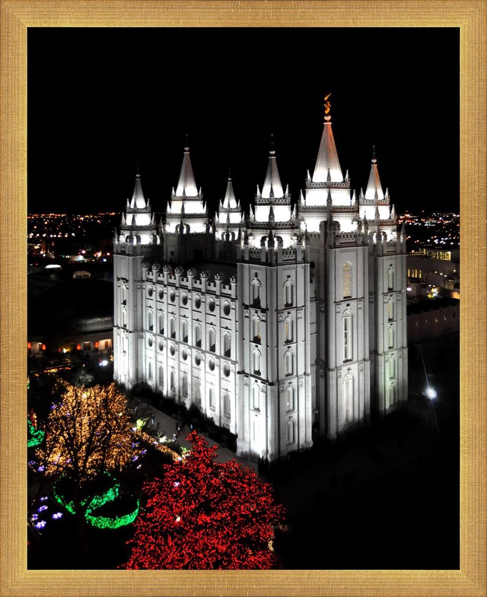 Salt Lake City Temple Wondrous Perspective