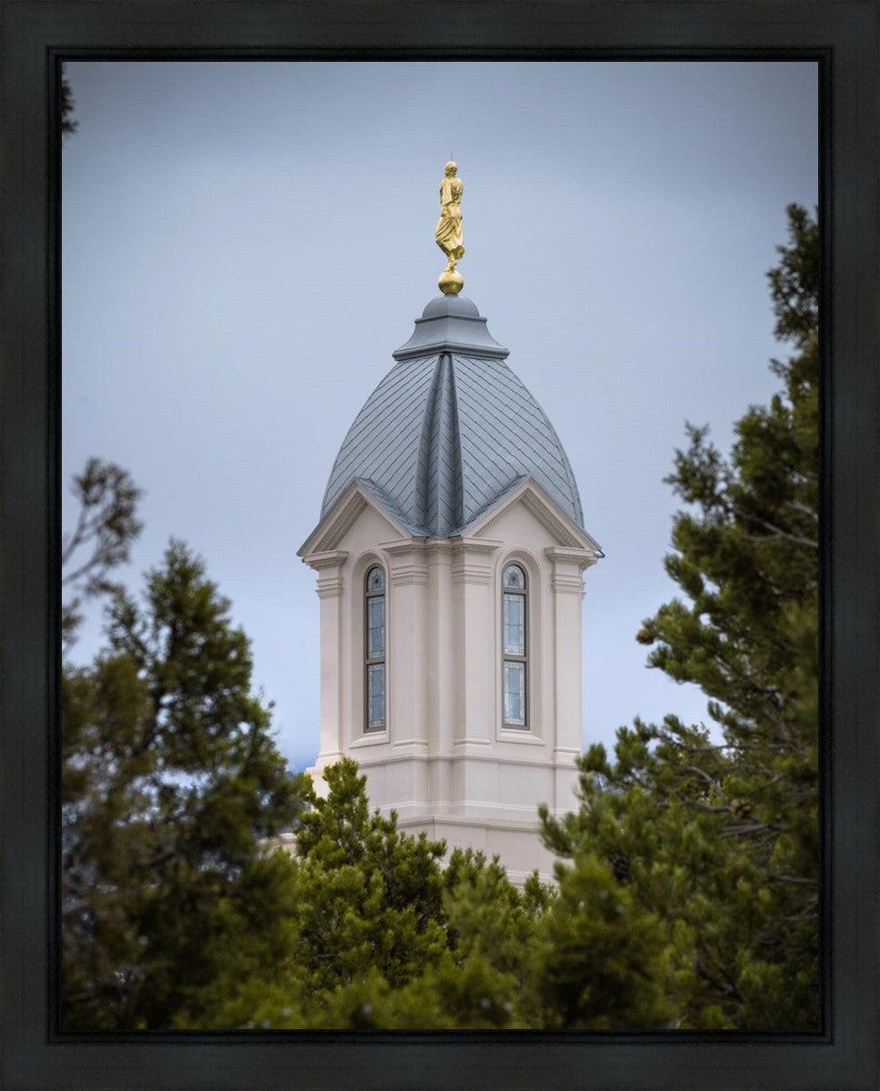 Cedar City Detail Gallery Wrap