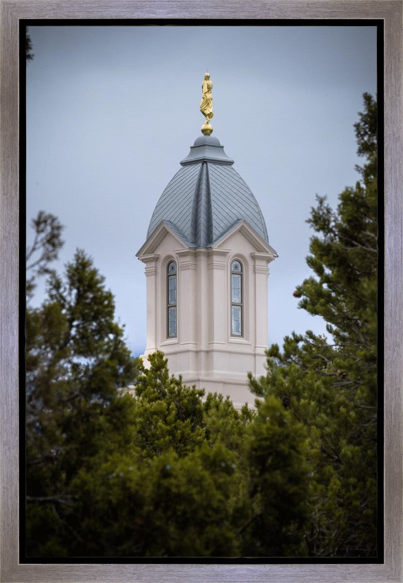 Cedar City Detail Gallery Wrap