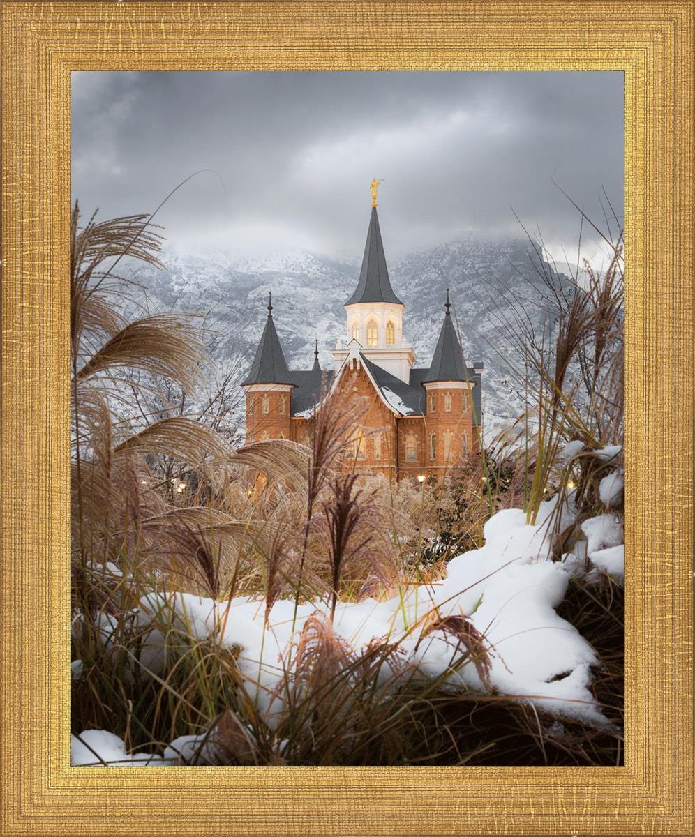 Provo City Center Winter Warmth