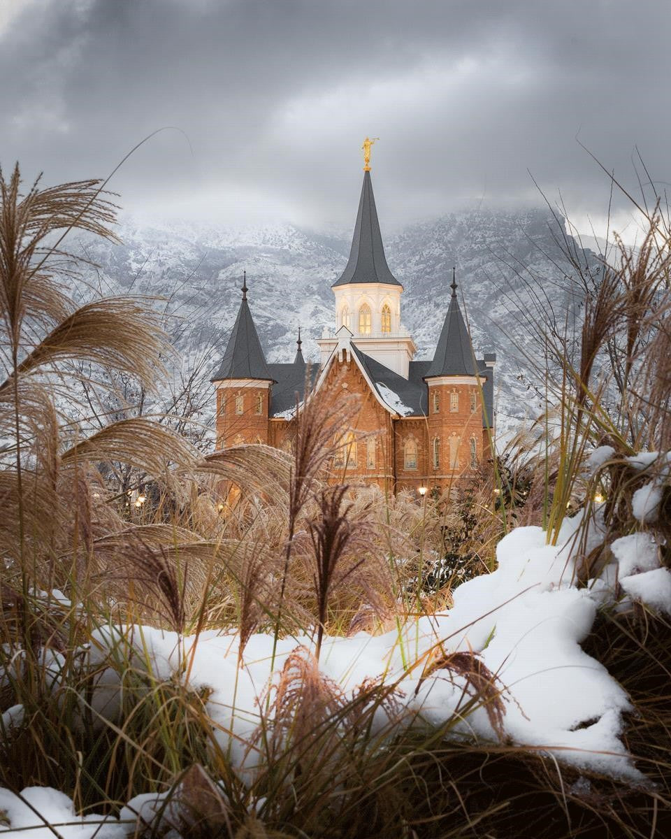 Provo City Center Winter Warmth Gallery Wrap