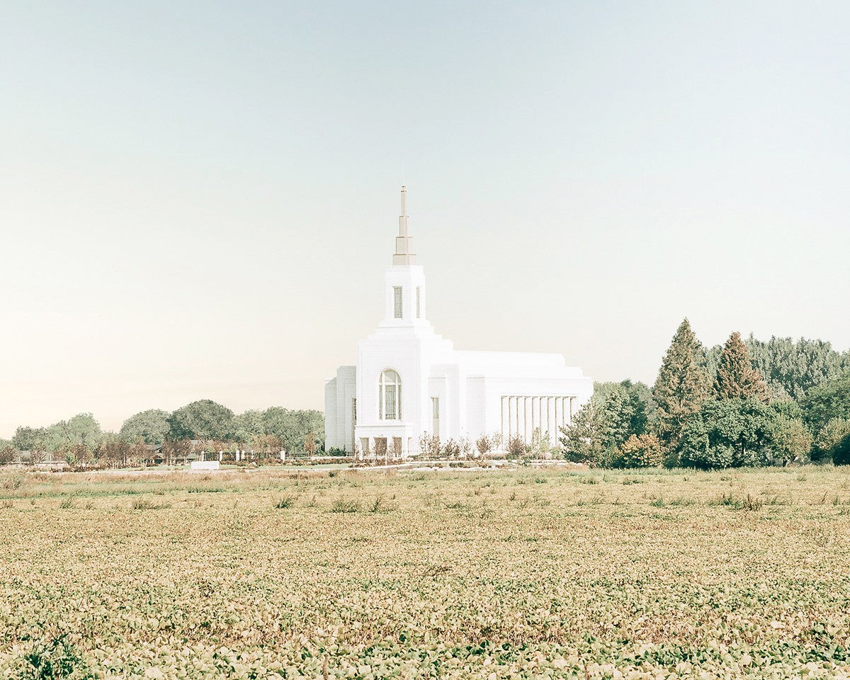 Burley Idaho Immaculate Embrace Blue