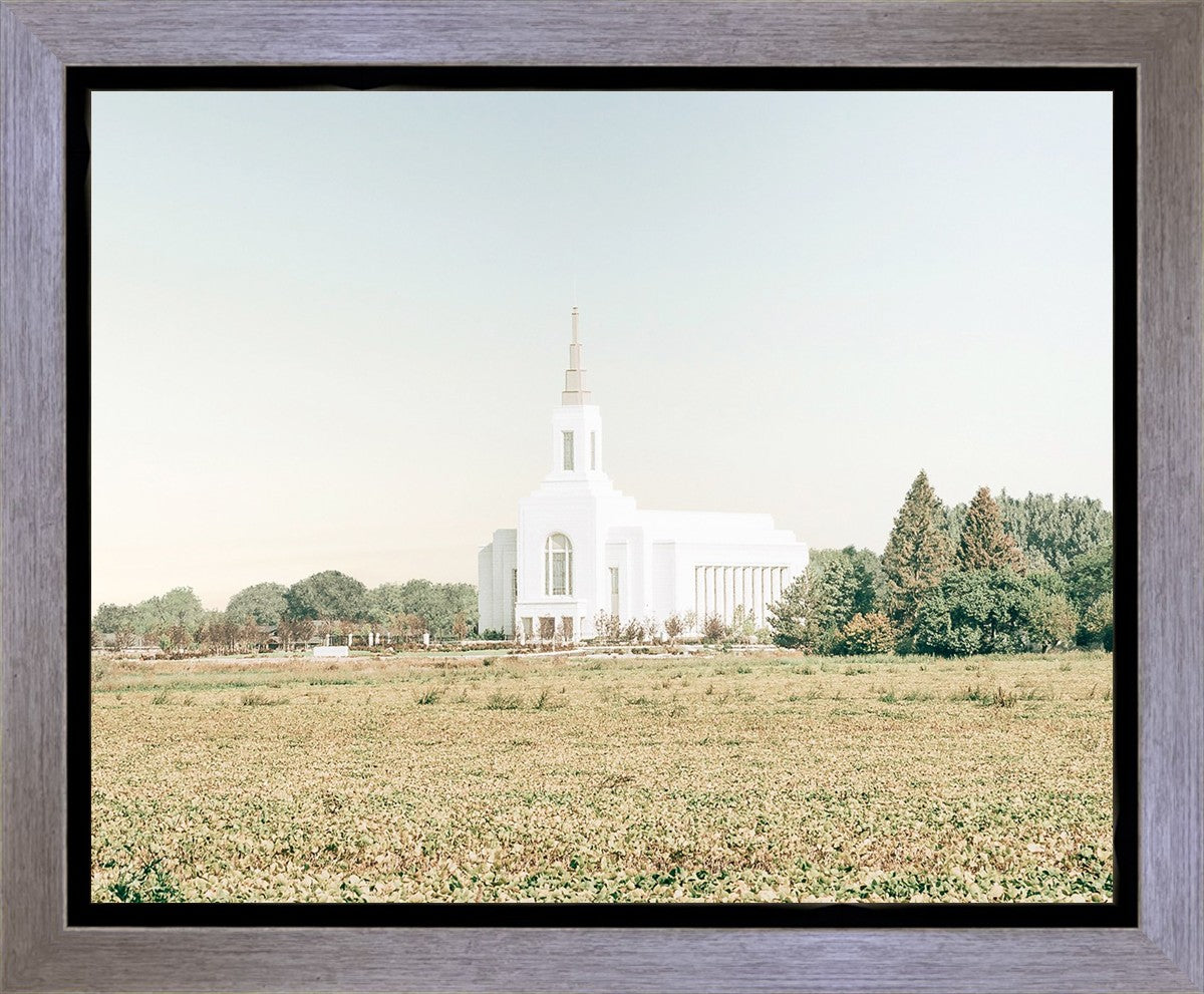 Burley Idaho Immaculate Embrace Blue