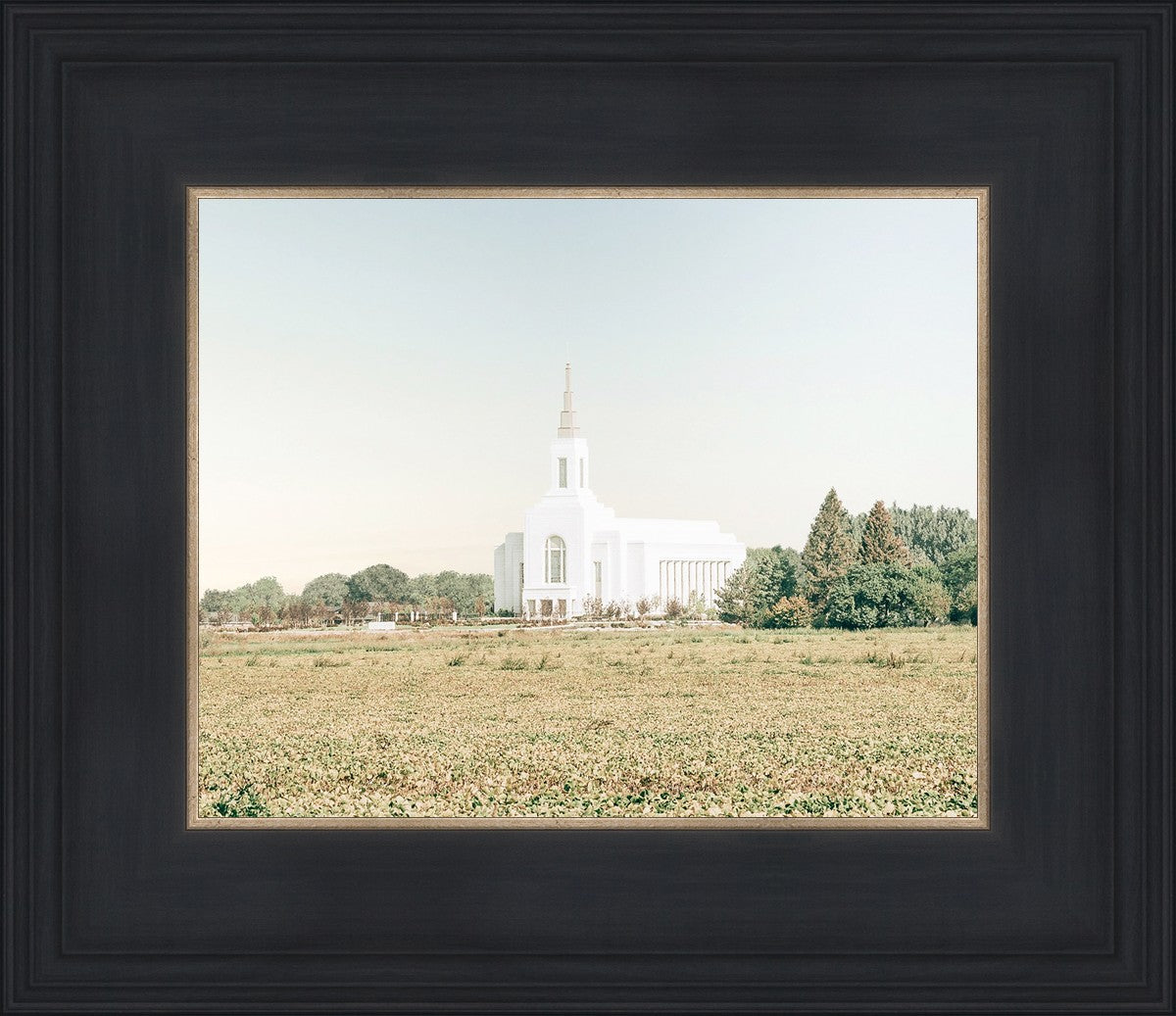 Burley Idaho Immaculate Embrace Blue