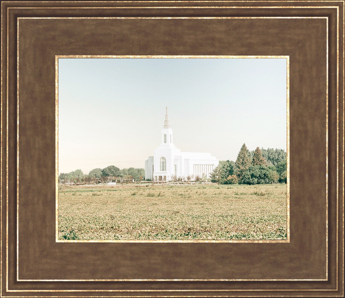 Burley Idaho Immaculate Embrace Blue